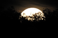 DSCN5941