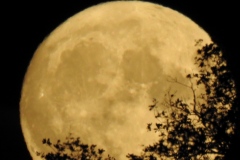 DSCN5961