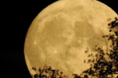 DSCN5962