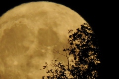 DSCN5963