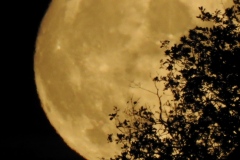 DSCN5967