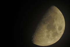 DSCN7799