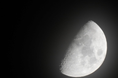 DSCN7804