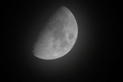 DSCN7805