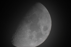 DSCN7806