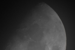 DSCN7807
