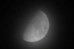 DSCN7809