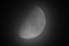 DSCN7810