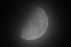 DSCN7811