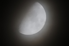 DSCN7812