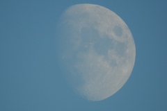 DSCN7879
