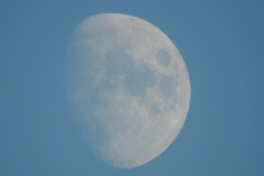 DSCN7883