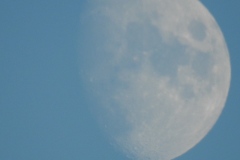 DSCN7884