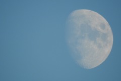 DSCN7885