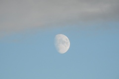 DSCN7886