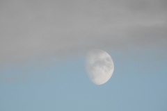 DSCN7889