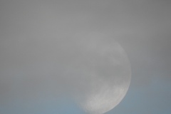 DSCN7894