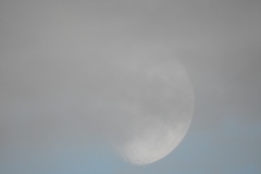 DSCN7895