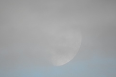 DSCN7896