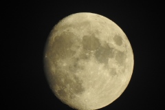 DSCN8014