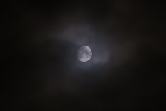 DSCN8028