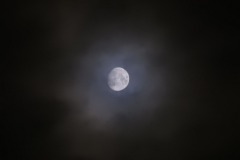 DSCN8029