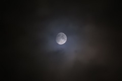 DSCN8030