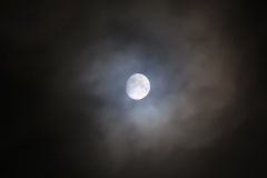 DSCN8031