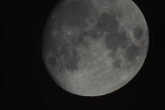 DSCN8035