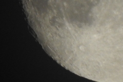 DSCN8059