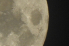 DSCN8060