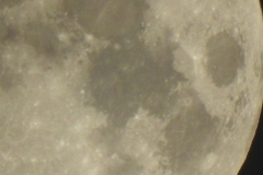 DSCN8061