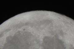 DSCN8282
