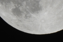 DSCN8284