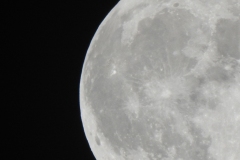 DSCN8287