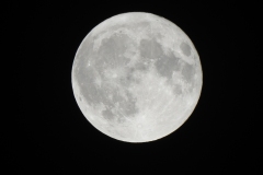 DSCN8305
