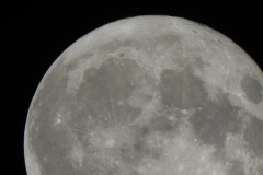 DSCN8311