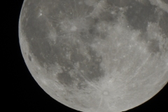 DSCN8312