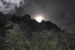 DSCN8404