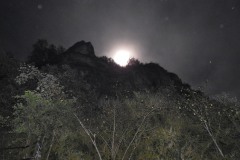 DSCN8405
