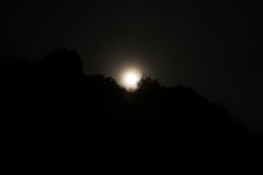 DSCN8406