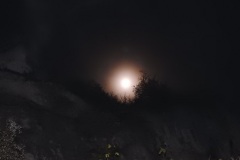DSCN8407