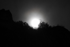DSCN8409