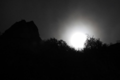 DSCN8410
