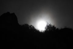 DSCN8411