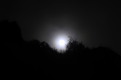DSCN8412