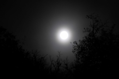 DSCN8414