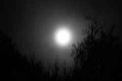 DSCN8415