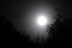 DSCN8416