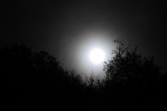 DSCN8417